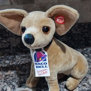 Taco Bell talking Chihuahua.